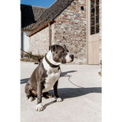 Kentucky Halsband Teddy Fleece Pine Green Kentucky Halsband Teddy Fleece Pine Green