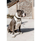 Kentucky Halsband Teddy Fleece Pine Green Kentucky Halsband Teddy Fleece Pine Green