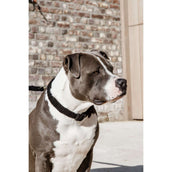 Kentucky Halsband Teddy Fleece Zwart Kentucky Halsband Teddy Fleece Zwart