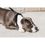 Kentucky Halsband Teddy Fleece Zwart Kentucky Halsband Teddy Fleece Zwart