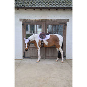 Kentucky Zadeldekje Softshell Onion Quilt Springen Lichtpaars/Lichtroze Kentucky Zadeldekje Softshell Onion Quilt Springen Lichtpaars/Lichtroze