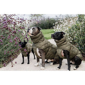 Kentucky Hondendeken Winter Pina 160g Pine Green Kentucky Hondendeken Winter Pina 160g Pine Green