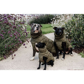 Kentucky Hondendeken Winter Pina 160g Pine Green Kentucky Hondendeken Winter Pina 160g Pine Green