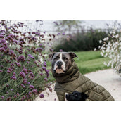 Kentucky Hondendeken Winter Pina 160g Pine Green Kentucky Hondendeken Winter Pina 160g Pine Green