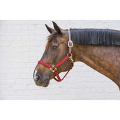 Kentucky Halster Nylon Breakaway Bordeaux Kentucky Halster Nylon Breakaway Bordeaux