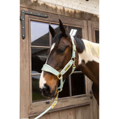 Kentucky Halster Velvet Mint Kentucky Halster Velvet Mint