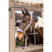 Kentucky Halster Velvet Paars Kentucky Halster Velvet Paars