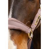 Kentucky Halster Velvet Lichtpaars Kentucky Halster Velvet Lichtpaars