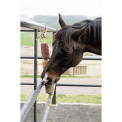 Grooming Deluxe by Kentucky Relax Horse Toy Wooden De-Stress Grooming Deluxe by Kentucky Relax Horse Toy Wooden De-Stress