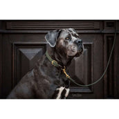 Kentucky Halsband Plaited Nylon Olive Green Kentucky Halsband Plaited Nylon Olive Green