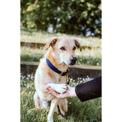 Kentucky Halsband Plaited Nylon Navy Kentucky Halsband Plaited Nylon Navy