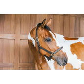 Kentucky Leren Halster Wellington Zwart Kentucky Leren Halster Wellington Zwart