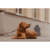 Kentucky Halsband Plaited Nylon Beige Kentucky Halsband Plaited Nylon Beige