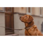 Kentucky Halsband Plaited Nylon Beige Kentucky Halsband Plaited Nylon Beige