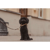 Kentucky Halsband Plaited Nylon Beige Kentucky Halsband Plaited Nylon Beige