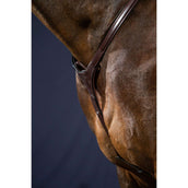 Dyon Borsttuig Bridge New English Collection Bruin Dyon Borsttuig Bridge New English Collection Bruin