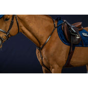 Dyon Borsttuig Bridge Working by Dyon Bruin Dyon Borsttuig Bridge Working by Dyon Bruin