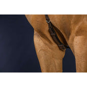 Dyon Borsttuig Bridge Working by Dyon Bruin Dyon Borsttuig Bridge Working by Dyon Bruin