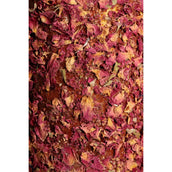 Grooming Deluxe by Kentucky Relax Horse Toy Wooden Freedom Grooming Deluxe by Kentucky Relax Horse Toy Wooden Freedom