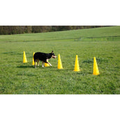 Kerbl Agility Pylon Set 3 Opstakels Rood/Geel Kerbl Agility Pylon Set 3 Opstakels Rood/Geel