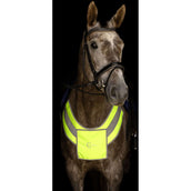 Kerbl Borsttuig Reflex Kerbl Borsttuig Reflex