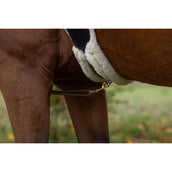 Covalliero Borsttuig Led Reflectie Covalliero Borsttuig Led Reflectie