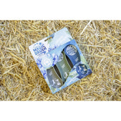 Magic Brush Set CornFlowers Magic Brush Set CornFlowers