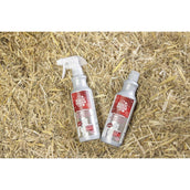 Magic Brush Shampoo FrenchKiss Magic Brush Shampoo FrenchKiss