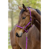 Covalliero Halster SS26 Dark Navy/Light Berry Covalliero Halster SS26 Dark Navy/Light Berry