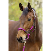 Covalliero Halster SS26 Light Berry Covalliero Halster SS26 Light Berry