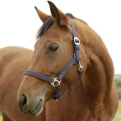 Covalliero Halster Hippo Nylon Marine Covalliero Halster Hippo Nylon Marine