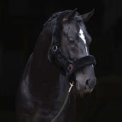 Covalliero Halster SuperSoft Zwart Covalliero Halster SuperSoft Zwart