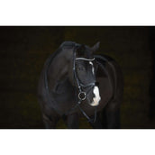 Kieffer Hoofdstel Amy Shine Zwart Kieffer Hoofdstel Amy Shine Zwart