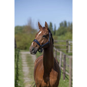 Kingsland Halsterset KLLucca Navy Kingsland Halsterset KLLucca Navy