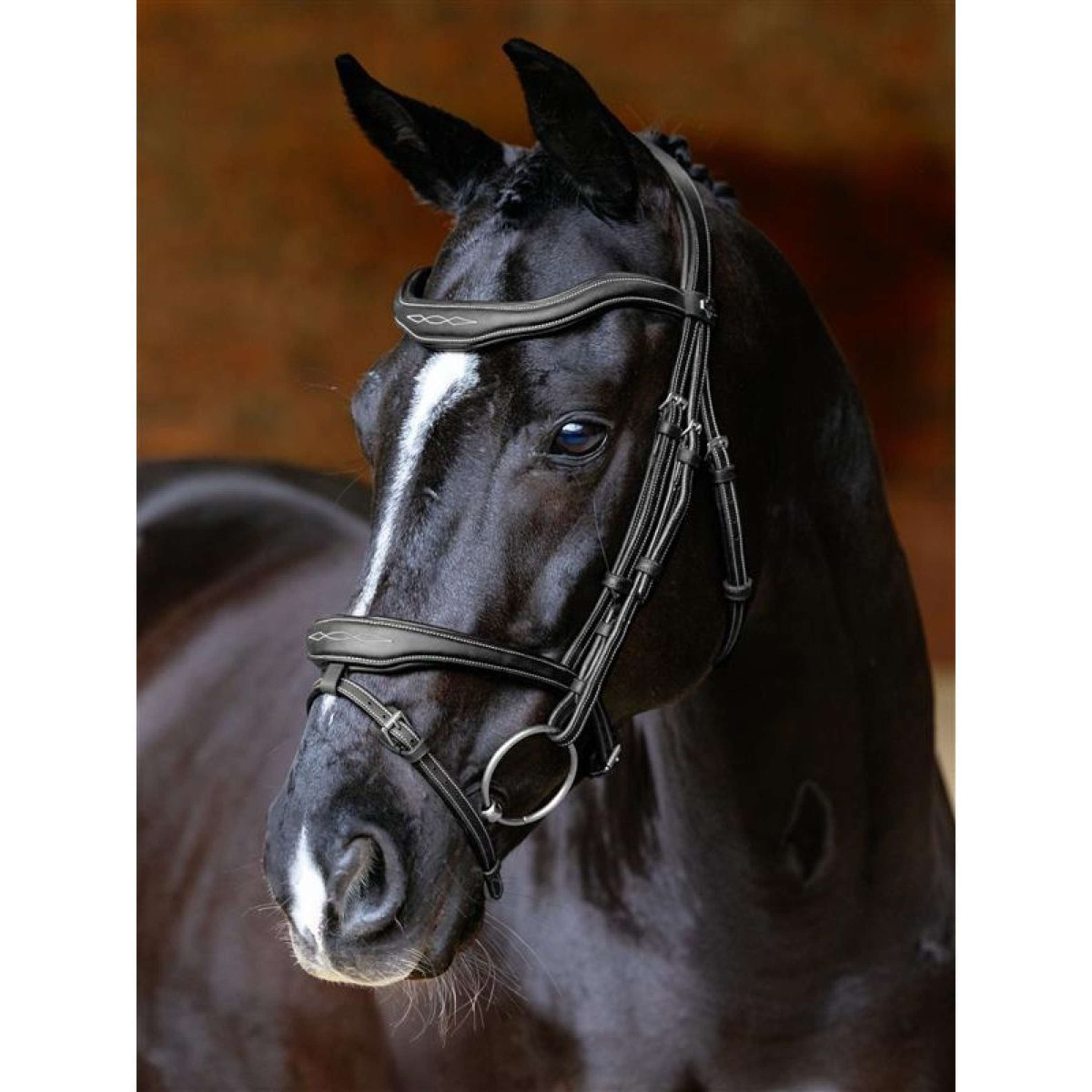 Stang en Trens Hoofdstel LeMieux Toy Pony Zwart - Eppleck