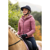 LeMieux Jack Brioney Hybrid Peony LeMieux Jack Brioney Hybrid Peony