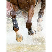 LeMieux Beenbeschermers MIMsafe XC Front Zwart LeMieux Beenbeschermers MIMsafe XC Front Zwart