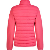 Pikeur Jack Hybrid Raspberry Pink Pikeur Jack Hybrid Raspberry Pink