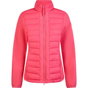 Pikeur Jack Hybrid Raspberry Pink Pikeur Jack Hybrid Raspberry Pink