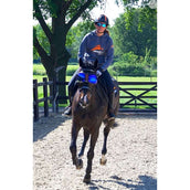 eQuick Bril eVysor Blauw eQuick Bril eVysor Blauw