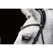 Schockemöhle Trenshoofdstel SP Isabell Werth Satchmo Zwart/Patent/Zilver Schockemöhle Trenshoofdstel SP Isabell Werth Satchmo Zwart/Patent/Zilver