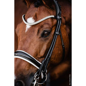 Schockemöhle Stang- en Trenshoofdstel SP Isabell Werth Bella Rose Zwart/Wit/Zilver Schockemöhle Stang- en Trenshoofdstel SP Isabell Werth Bella Rose Zwart/Wit/Zilver