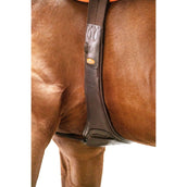 Schockemöhle Singel Portland Espresso/Zilver Schockemöhle Singel Portland Espresso/Zilver