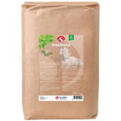 Sectolin Brandnetel Sectolin Brandnetel