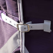 Shires Outdoordeken Original 100g Turnout met Hals Shires Outdoordeken Original 100g Turnout met Hals