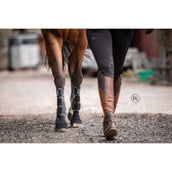 Stübben Equi Compress Set Voorbenen Stübben Equi Compress Set Voorbenen