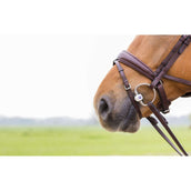 Trust Bus Stang Inno Sense Flexi Soft Trust Bus Stang Inno Sense Flexi Soft