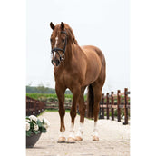 Trust Pessoa Watertrens Inno Sense 2,5 Ring Flexi Soft Trust Pessoa Watertrens Inno Sense 2,5 Ring Flexi Soft