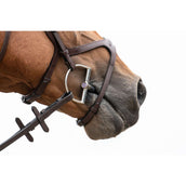 Trust D-bit Sweet Iron Dubbelgebroken 12mm Trust D-bit Sweet Iron Dubbelgebroken 12mm