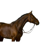 Trust Hoofdstel Amsterdam Bruin/Zilver Trust Hoofdstel Amsterdam Bruin/Zilver